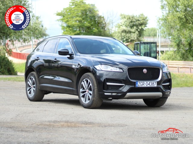 jaguar
